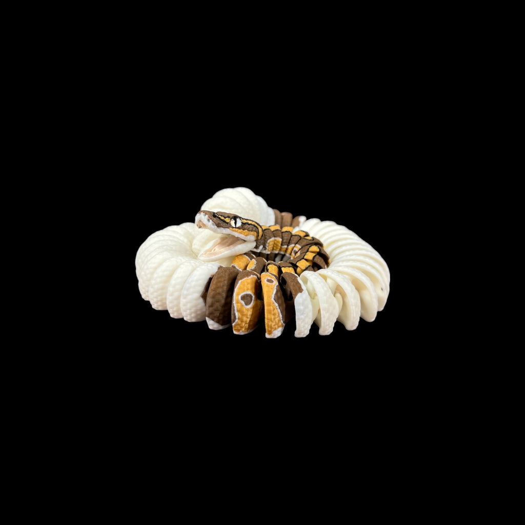 4 - Color Pied Ball Python – 3D Printed by Little Fire Designz
