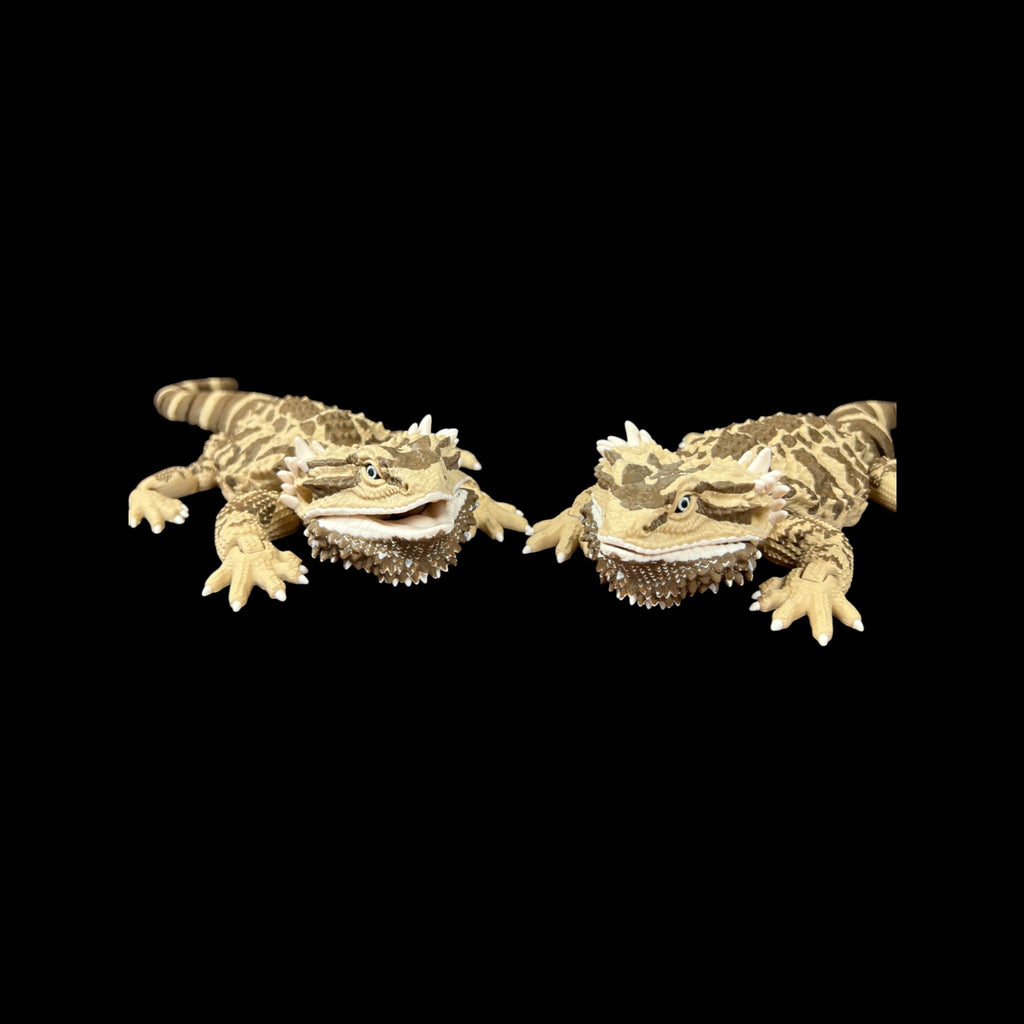 Bearded Dragon Replica – 3D Printed by Little Fire Designz