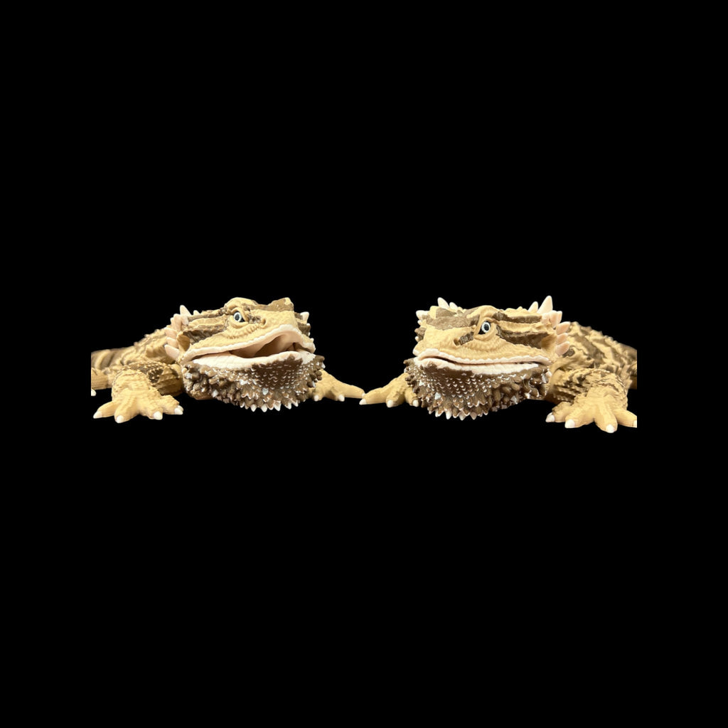 Bearded Dragon Replica – 3D Printed by Little Fire Designz
