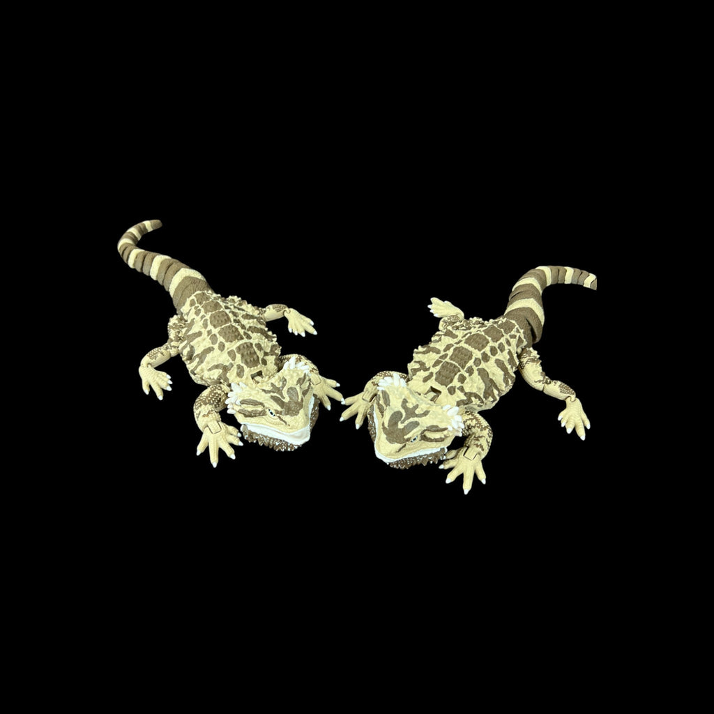 Bearded Dragon Replica – 3D Printed by Little Fire Designz
