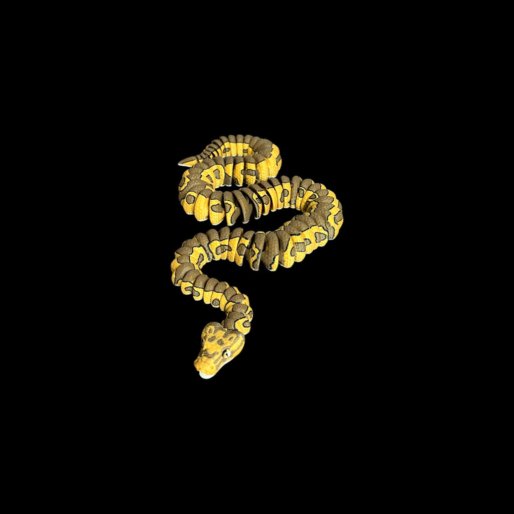 Clown Ball Python Replica – 3D Printed by Little Fire Designz