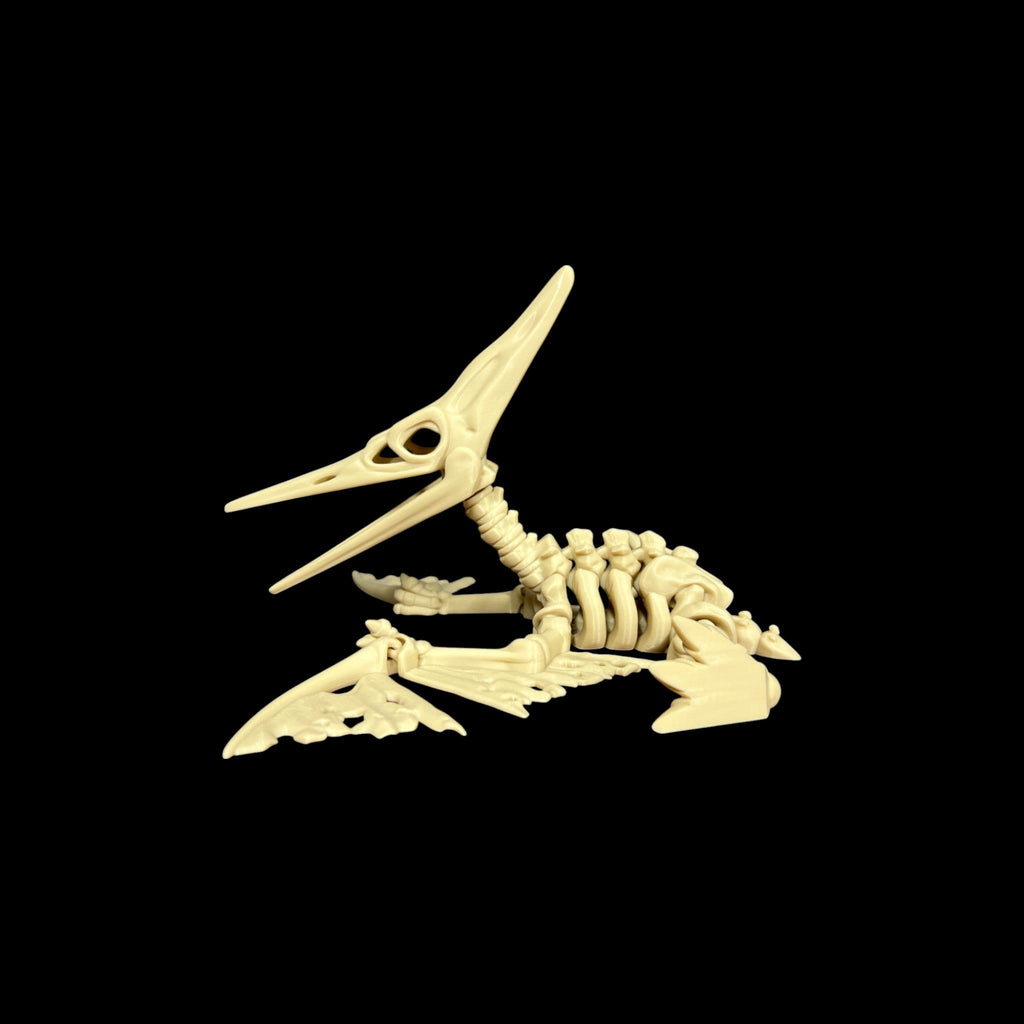 Large Skeletal Pteranodon – 3D Printed by Little Fire Designz