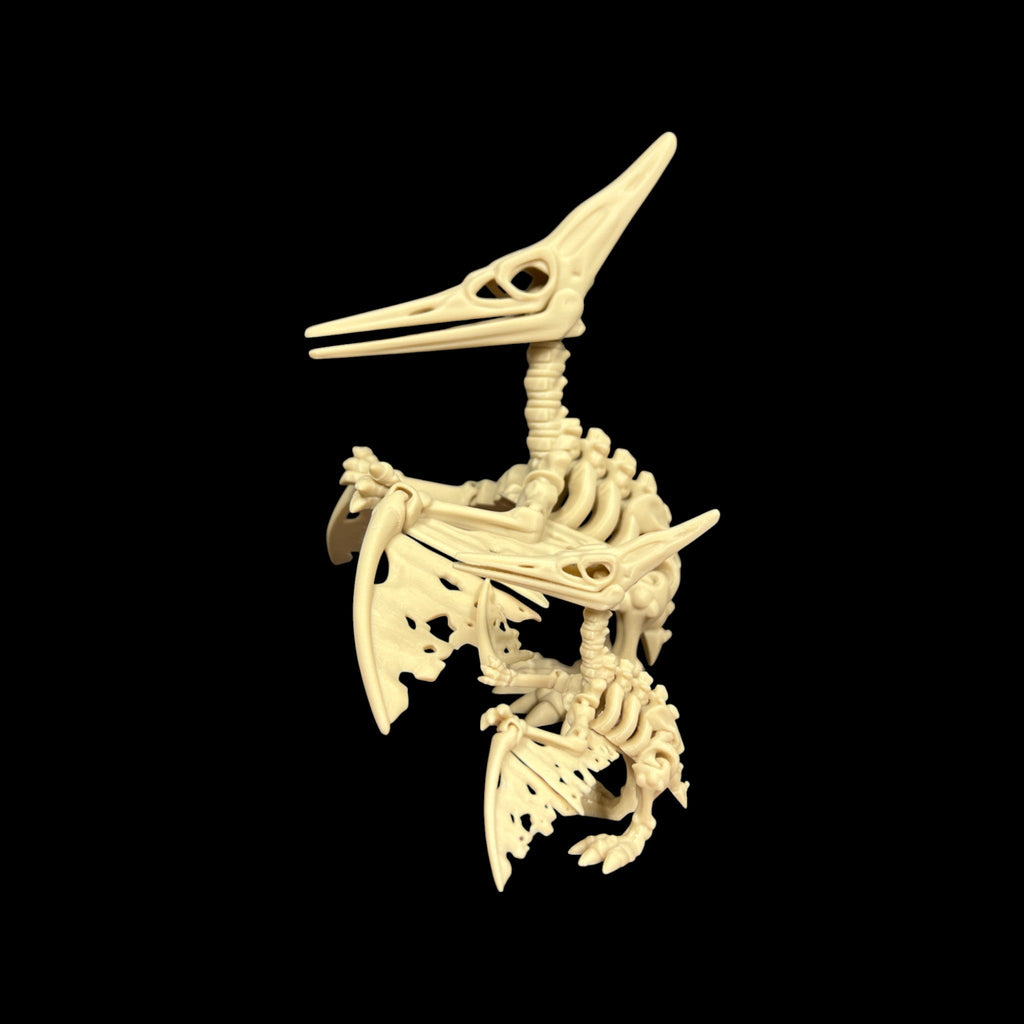Large Skeletal Pteranodon – 3D Printed by Little Fire Designz