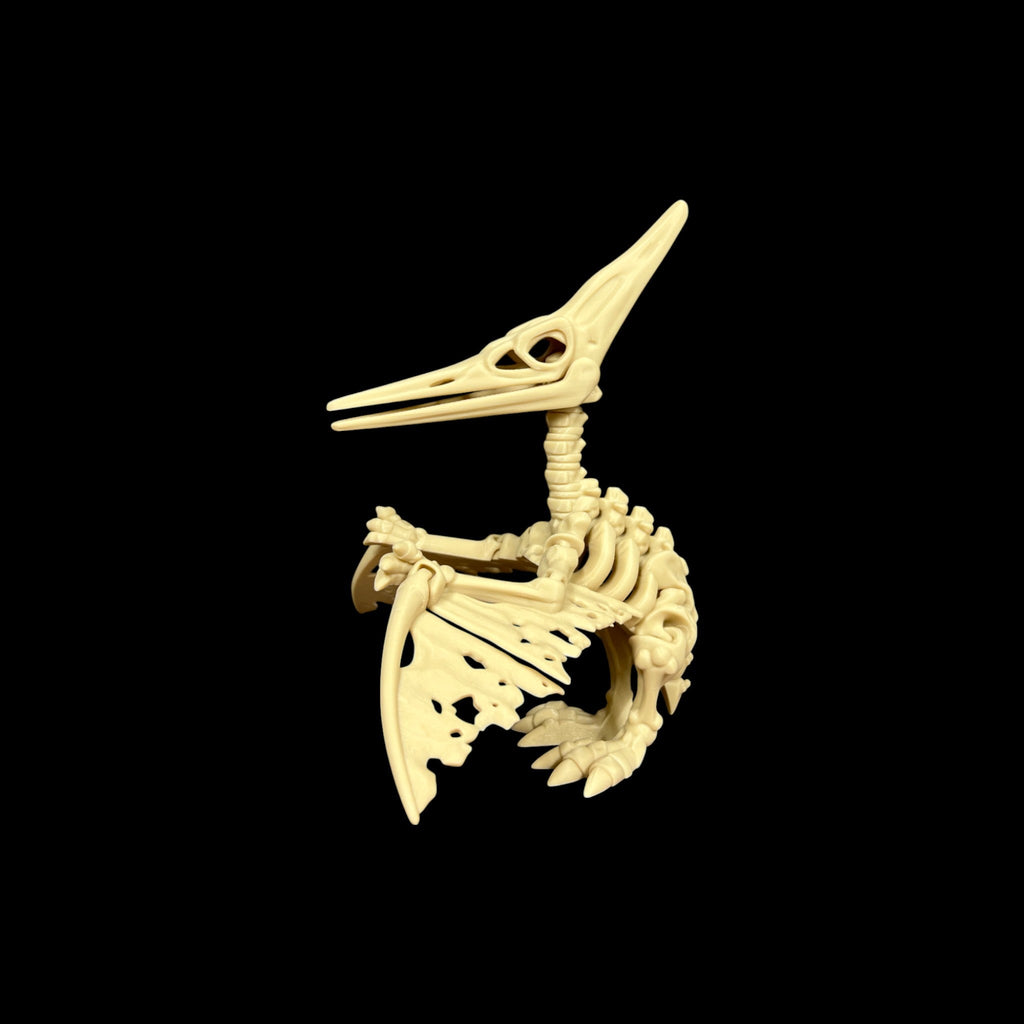 Large Skeletal Pteranodon – 3D Printed by Little Fire Designz