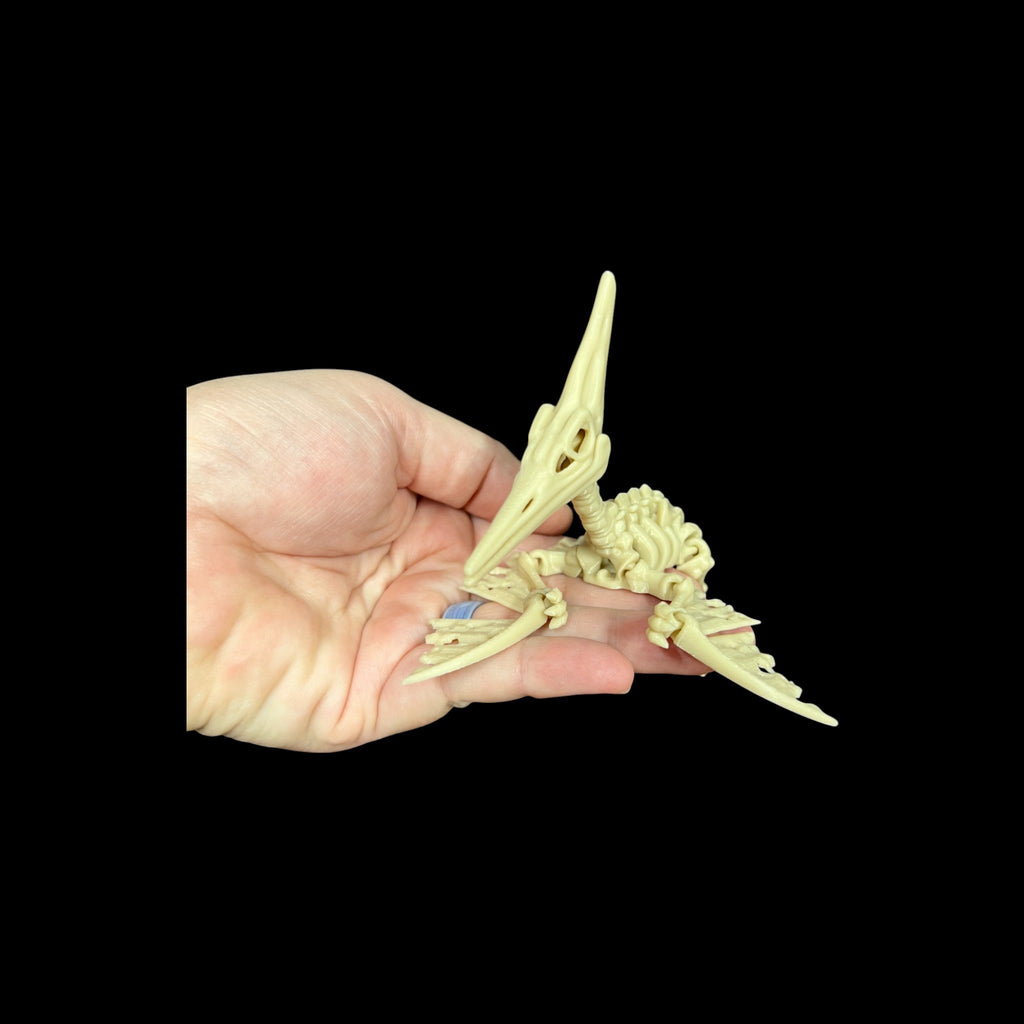 Small Skeletal Pteranodon – 3D Printed by Little Fire Designz